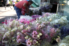 بازار گل شهید محلاتی در روز ملی گل