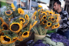 بازار گل شهید محلاتی در روز ملی گل