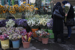 بازار گل شهید محلاتی در روز ملی گل