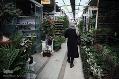 بازار گل شهید محلاتی در روز ملی گل