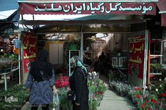 بازار گل شهید محلاتی در روز ملی گل
