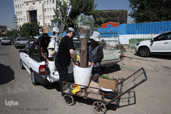 بازار گل شهید محلاتی در روز ملی گل