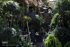 بازار گل شهید محلاتی در روز ملی گل