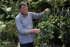 بازار گل شهید محلاتی در روز ملی گل