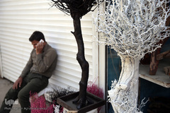 بازار گل شهید محلاتی در روز ملی گل