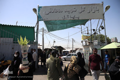 بازار گل شهید محلاتی در روز ملی گل