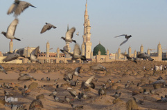 قبرستان بقیع در مدینه منوره