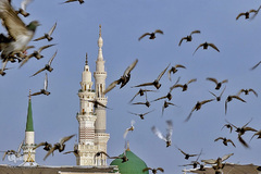 قبرستان بقیع در مدینه منوره