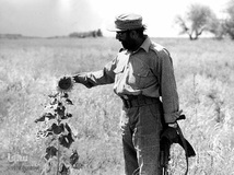 چمران فرمانده جنگ‌های نامنظم