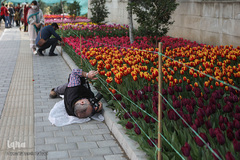 خیابان باغ لاله های «مادر» در شهرک غرب