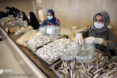 در روز میلاد کریم اهل بیت امام حسن مجتبی (ع) جمعی از خیرین، هنرمندان و داوطلبان عضو طرح هم نمک موسسه خیریه متوسلین به امام رضا (ع) در پویش همدلی و کمک مومنانه خود، اقدام به آماده سازی و توزیع بسته های حمایتی اقلام غذایی میان خانواده‌های محروم تحت پوشش این موسسه نمودند.