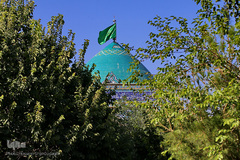 امامزادگان؛ ذخائر معنوی جامعه