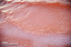 دریاچه حوض سلطان به رنگ سرخ