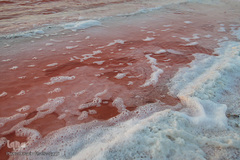 دریاچه حوض سلطان به رنگ سرخ