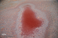 دریاچه حوض سلطان به رنگ سرخ