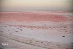 دریاچه حوض سلطان به رنگ سرخ