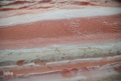 دریاچه حوض سلطان به رنگ سرخ