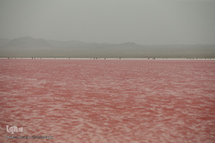 دریاچه حوض سلطان به رنگ سرخ