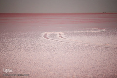 دریاچه حوض سلطان به رنگ سرخ