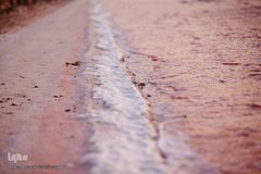 دریاچه حوض سلطان به رنگ سرخ