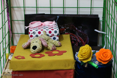 خوابگاه‌های به خواب رفته