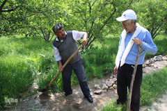 ویروسی که فراموش کرده‌ایم!