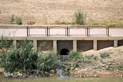 مرثیه کارون