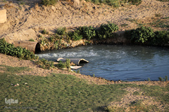 مرثیه کارون