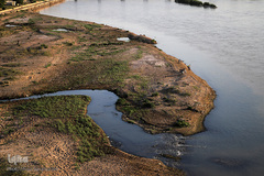 مرثیه کارون