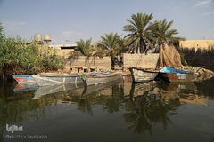 تالاب شادگان