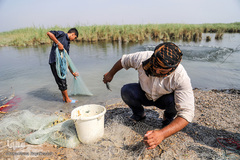 تالاب شادگان