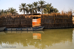 تالاب شادگان