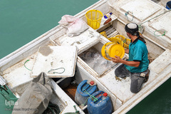 بندر صیادی بحرکان