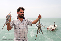 بندر صیادی بحرکان