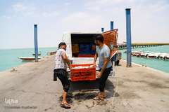 بندر صیادی بحرکان