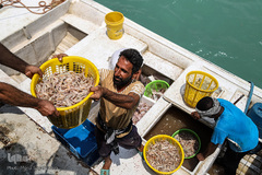 بندر صیادی بحرکان