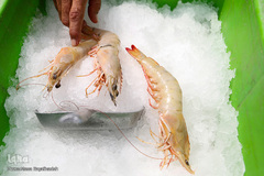 بندر صیادی بحرکان