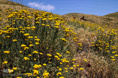 طبیعت ارتفاعات روستای مزرعه و قلعه شیور