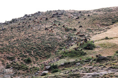 طبیعت ارتفاعات روستای مزرعه و قلعه شیور