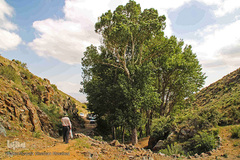 طبیعت ارتفاعات روستای مزرعه و قلعه شیور