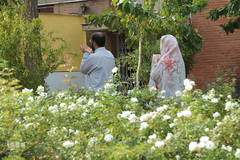 پیوند آسمانی