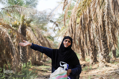 نهرهای بی‌آب، نخل‌های بی‌سر