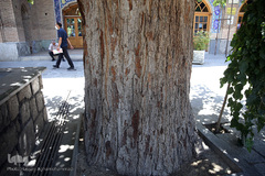 مسجد جامع(عتیق) ۱۰۰۰ساله تهران