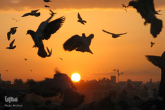 قبرستان بقیع در مدینه منوره