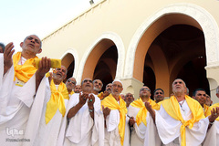 احرام در مسجد شجره