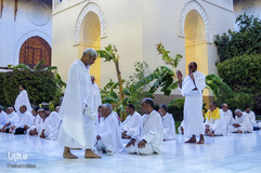 احرام در مسجد شجره