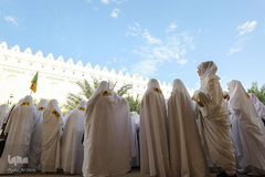 احرام در مسجد شجره