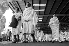 عزیمت زائرین بیت الله الحرام به عرفات