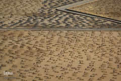 حجاج در بهشت بقیع