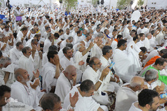 دعای عرفه حجاج ایرانی در صحرای عرفات